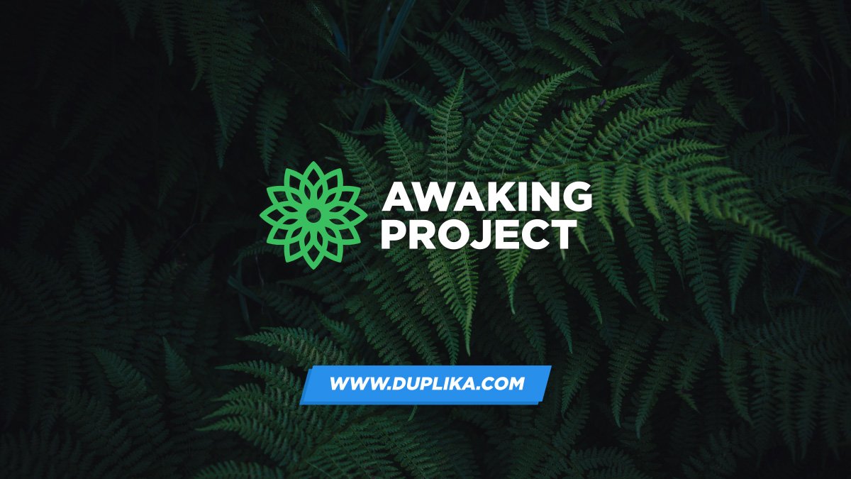 Awaking Project