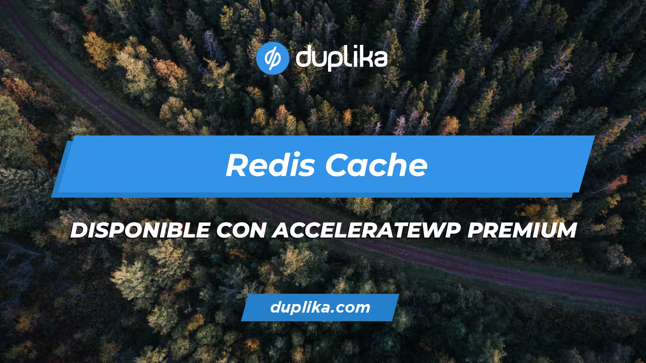 Redis cache accelerate wp