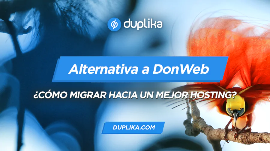 Alternativa a DonWeb: cómo migrar hacia un mejor hosting