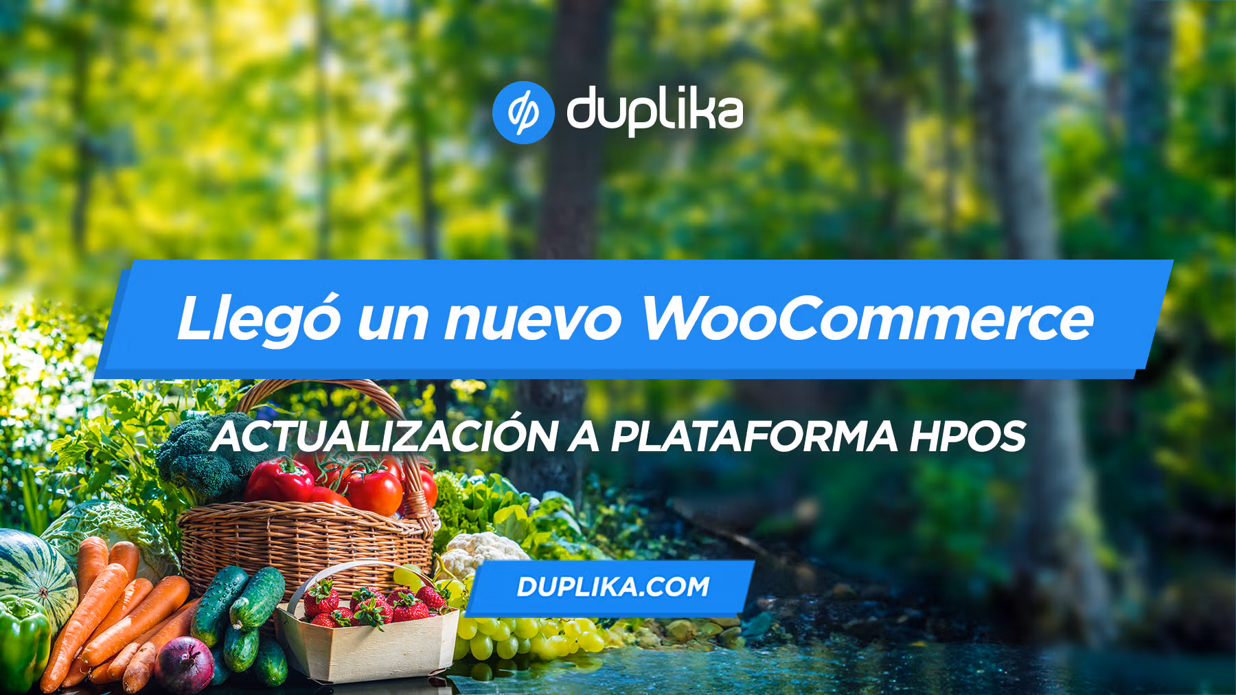 Facebook woocommerce hpos.jpg