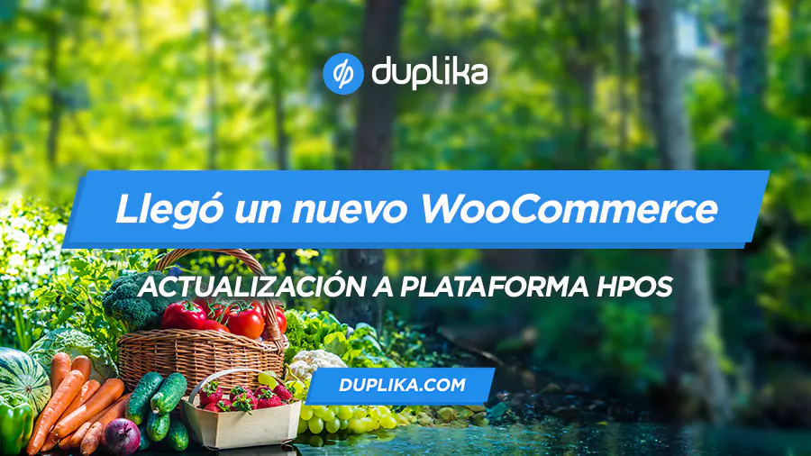 Nuevo WooCommerce 8 con HPOS: High-Performance Order Storage