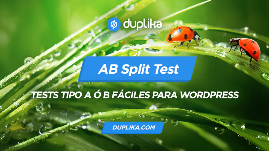 AB Split Test