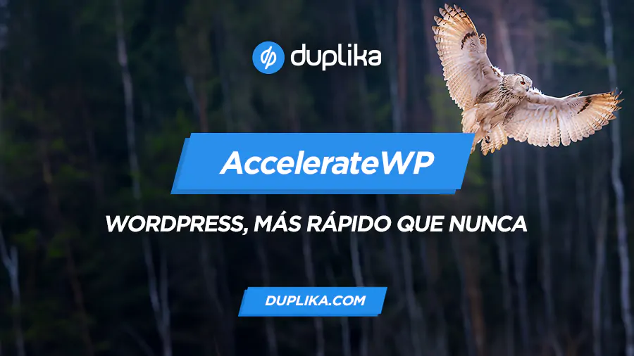 AccelerateWP
