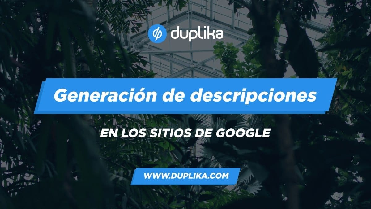 Descripcion de nuestro sitio en Google