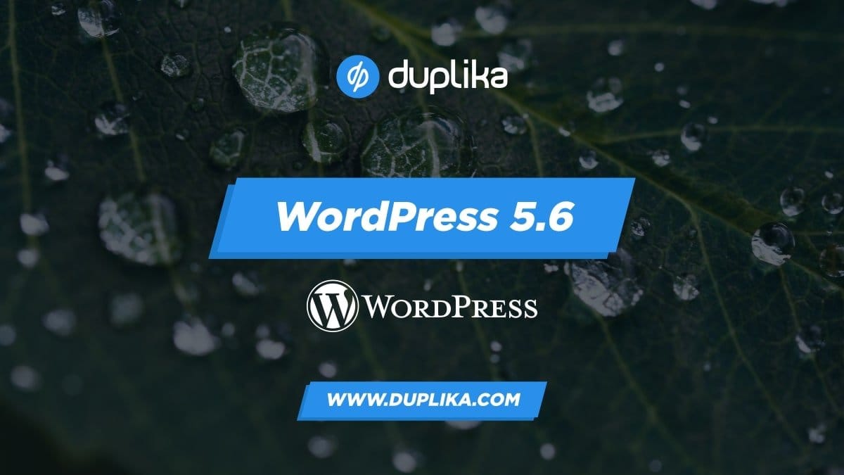 WordPress 5.6