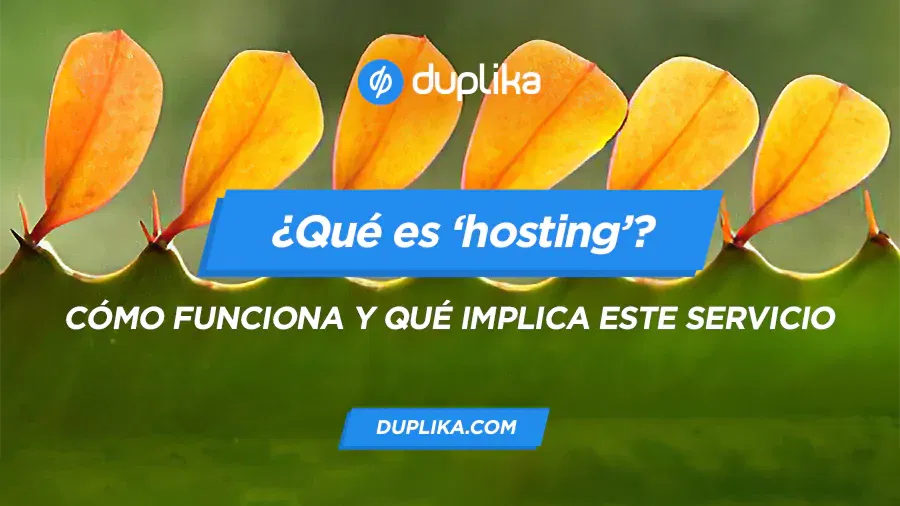 ¿Qué es el servicio de hosting?