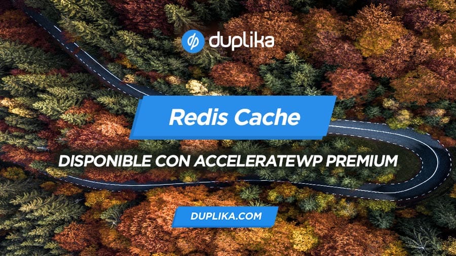 Redis Cache con AccelerateWP