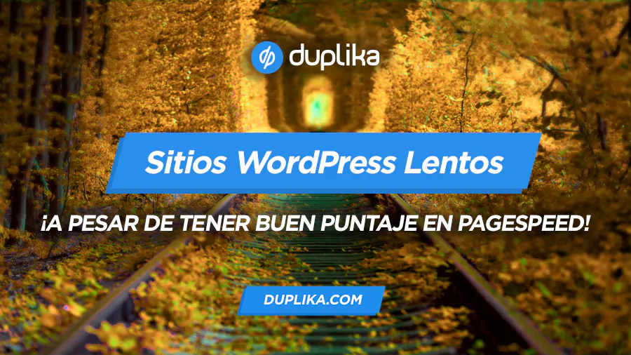 Sitios lentos con buen puntaje pagespeed