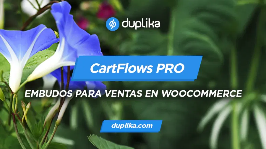 Cartflows Pro