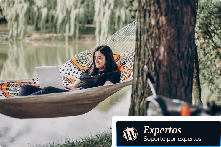 Mantenimiento de WordPress