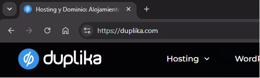Que es un dominio